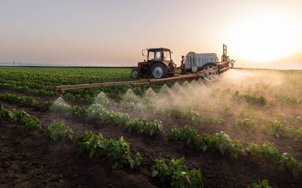 Pest Prevention Services in Bigfoot, TX