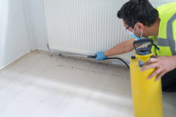 Best Cockroach Control Services  in Bigfoot, TX
